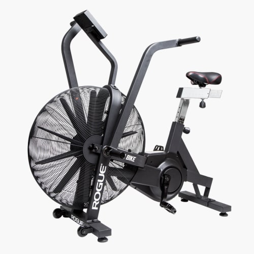 Airdyne cheap bike canada